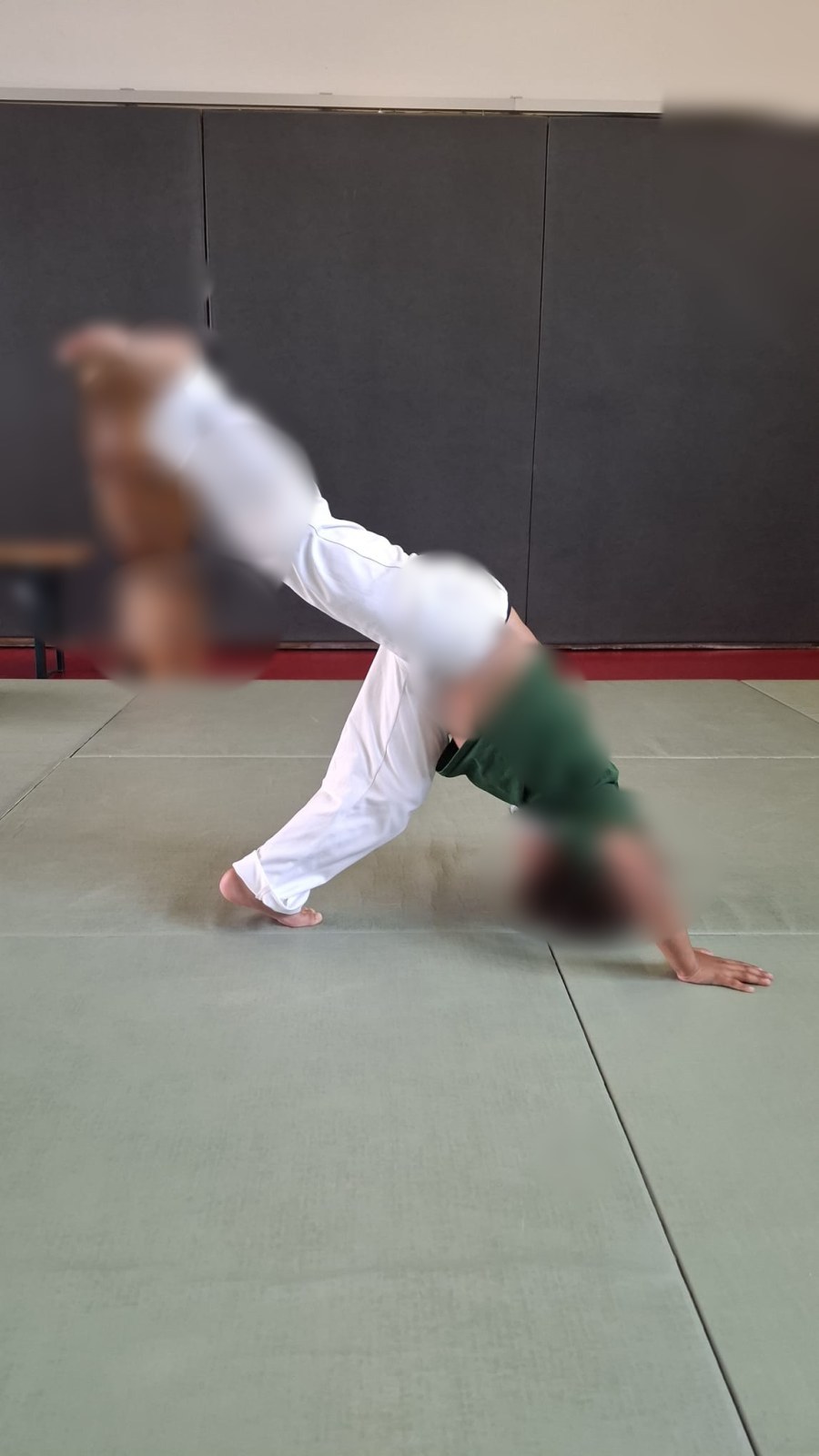 Cours enfants de capoeira (visages floutés)